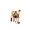 Truckair Exp. Valve - Ext. Equalized, Category: Expansion Valve, Externally Equalized, Style: 90 Degree 12-3025A - alternate 5